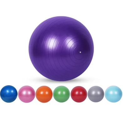 Top 10 Best Exercise Balls for Home Workouts